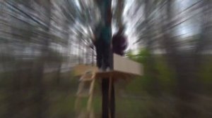 ДОМИК НА ДЕРЕВЕ ЗА 10$ VS 100$ ЧЕЛЛЕНДЖ!