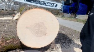 Stihl MS661 vs Holzfforma G660 (same bar and chain)