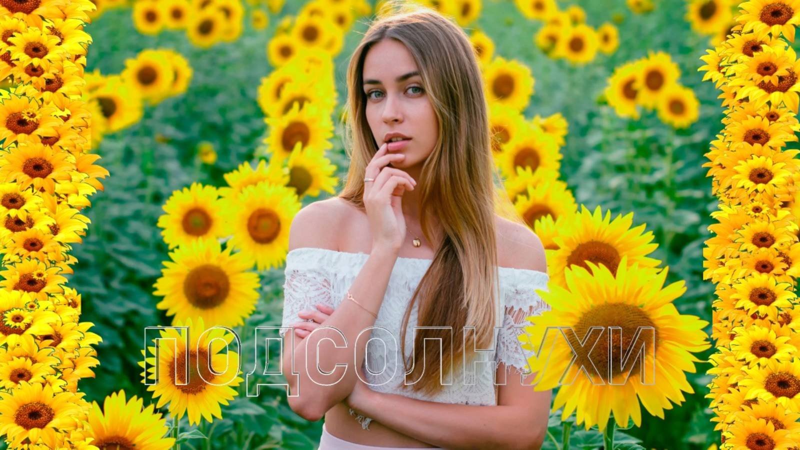 Подсолнухи