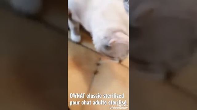 OWNAT classic sterilized pour chat adulte stérilisé - Zoomalia