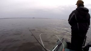 Вот это раздача! Ловля судака на Нижнекамском водохранилище