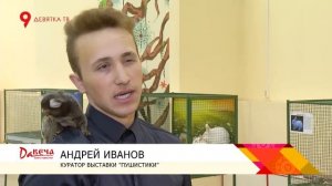 Открытие контактного зоопарка