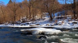Природа Кавказа. Кавказский заповедник.  Зима   Nature of the Caucasus