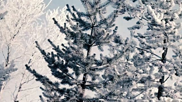 Рождество, традиции в разных странах Европы