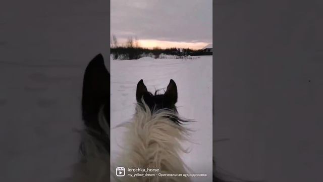 #лошади #кони #зима #деревенскаяжизнь  #лошадки #юморпорусски