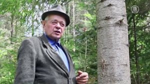 Трембита - самый длинный духовой инструмент в мире (новости)