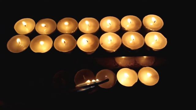 15. AUGUST - The Rose and the Lion смотреть онлайн