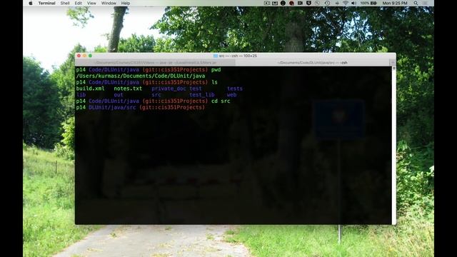 !!! DEPRECATED CIS 351 Video 35: Branches DEPECATED !!!!! смотреть онлайн