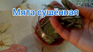 Чай из лекарственных трав☕?