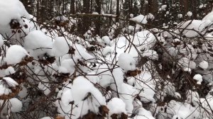 ЖЕНА ходила на сеансы С ПРОДОЛЖЕНИЕМ, но муж отомстил за неверность. Истории измен, аудио рассказ