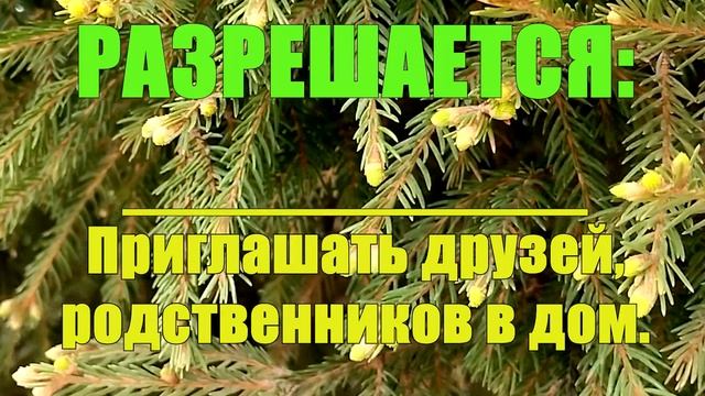 1 МАЯ День Кузьмы. Что нельзя делать 1 мая. Народные традиции и приметы и суеверия смотреть онлайн