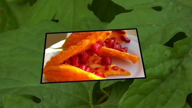 Момордика смотреть онлайн