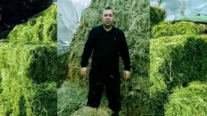 Выгодное вложение люцерны Джеа!
