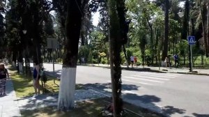 Абхазия/Пицунда/Дорога на пляж Бичвинта.