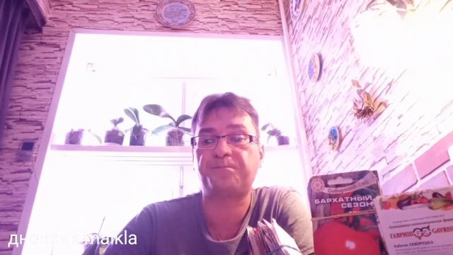 Как рассчитать сроки посевов перца и баклажан на рассаду? Когда сеять рассаду?