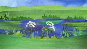 25.2. Чем опасны растения для человека