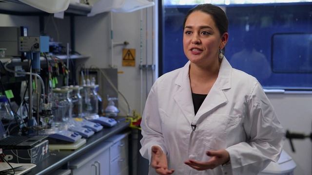 International Students Guide: Meet the City of Perth! смотреть онлайн