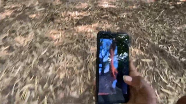 making action reels in forest | munna vlogs