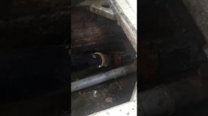 Бестраншейная замена канализационной трубы.