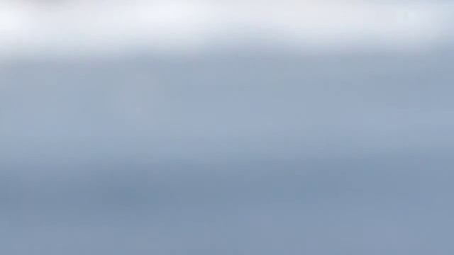 Усть-Каменогорск, р.Иртыш(((( 10.03.2014г. MVI 1834 смотреть онлайн