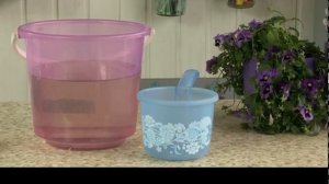 КАК БОРОТЬСЯ С МОРКОВНОЙ МУХОЙ С ПОМОЩЬЮ ПОЛЫНИ