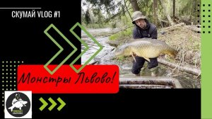 Вот это открытие сезона!Монстры Львовских прудов!