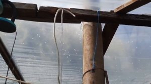 Какую пользу приносит теплице вентилятор!