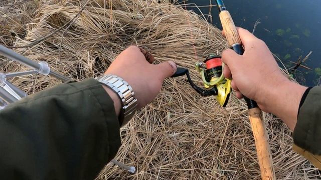 Крупные караси на малой речке ! смотреть онлайн