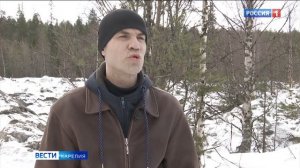 Уже этим летом в Карелии стартует программа «Арктический гектар»