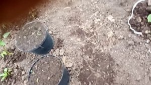 ВОТ И ЛЕТО ПРИШЛО..2022год (18 серия)