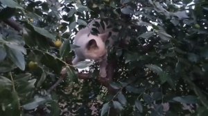 Поездка в город? ну и цены у них ? пообедали в азии? ну а дома лучше?