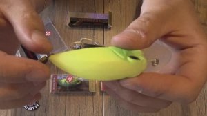 Копия воблера DUO Realis Crank (тест на воде)