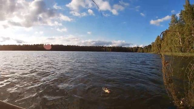 РЫБАЛКА В КАРЕЛИИ 2020 ЛОВЛЯ ОКУНЯ ОСЕНЬЮ НА СПИННИНГ С ЛОДКИ ! ОКУНЬ НА МИКРОДЖИГ ! (сегодня) смотреть онлайн