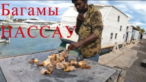 Багамы Нассау. Как живут люди в РАЮ? Первое впечатления