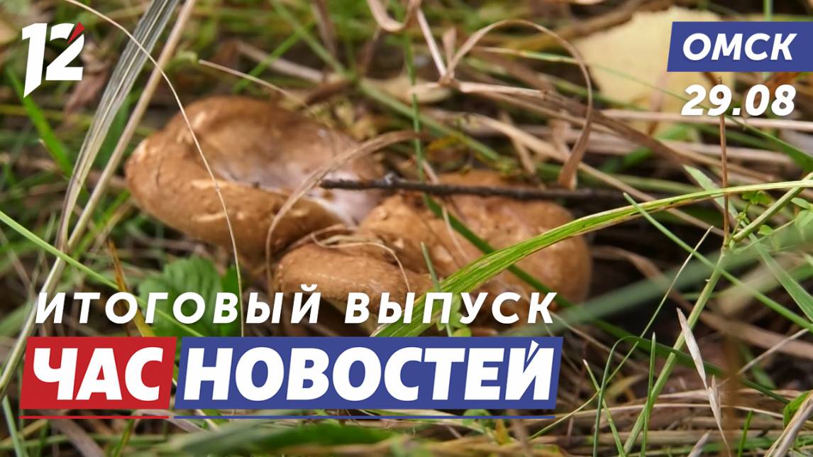 Сезон «тихой охоты» / Заморозки / Разрушительное ДТП. Новости Омска