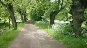 Луговой парк в Петергофе