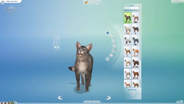 ЧУДО ГЕНЕТИКИ, ЕНОТИКИ - The Sims 4 "Кошки и Собаки" смотреть онлайн