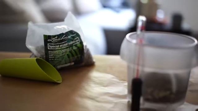 Кашпо Lechuza® Orchidea с системой автополива смотреть онлайн