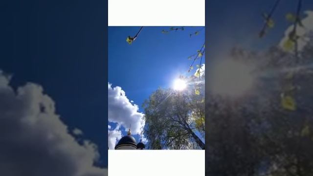 Задонский Свято-Тихоновский Преображенский женский монастырь. смотреть онлайн