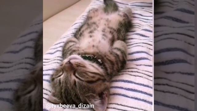 Милота?? мастер в выходной