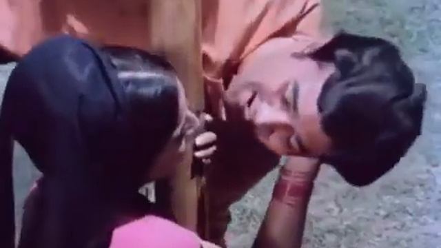 Слоны мои друзья. 1971 г. смотреть онлайн