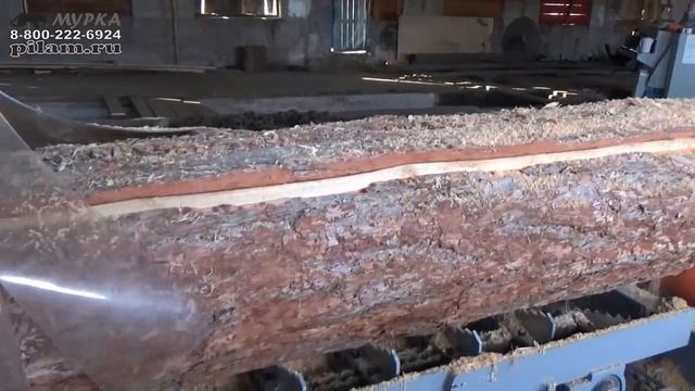 Купить китайский бревнопильный дисковый двухвальный многопильный станок MJ Y7 450 XB pilam.ru