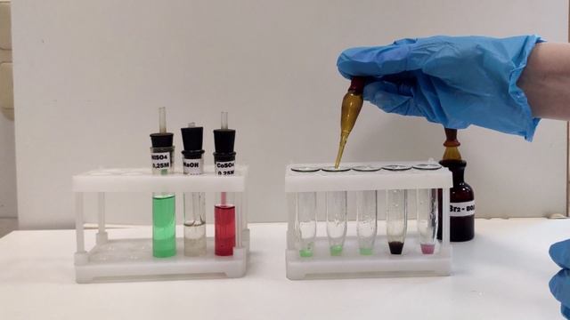 Лабораторная работа №6 