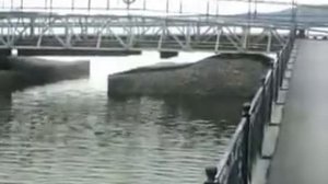 вид лагеря лесное озеро на сахалине.