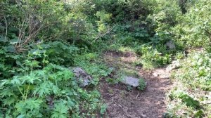 Ущелье Аламедин, Ат-Жайлоо, водопад "Змеиный язык", Кыргызстан.