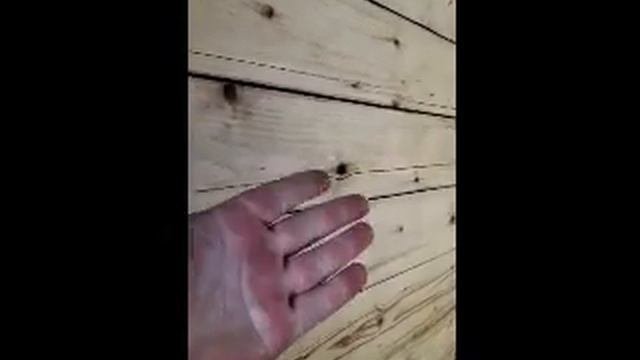 Масло льняное техническое для дерева