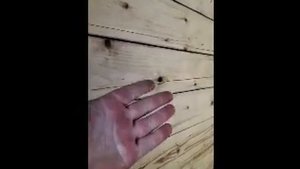 Масло льняное техническое для дерева