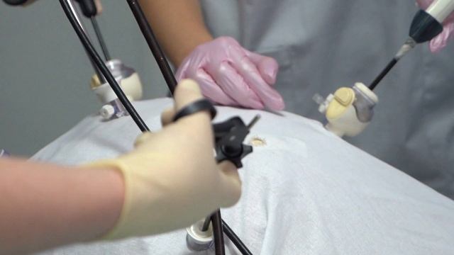 День медицинского работника отметили в Хабаровске смотреть онлайн