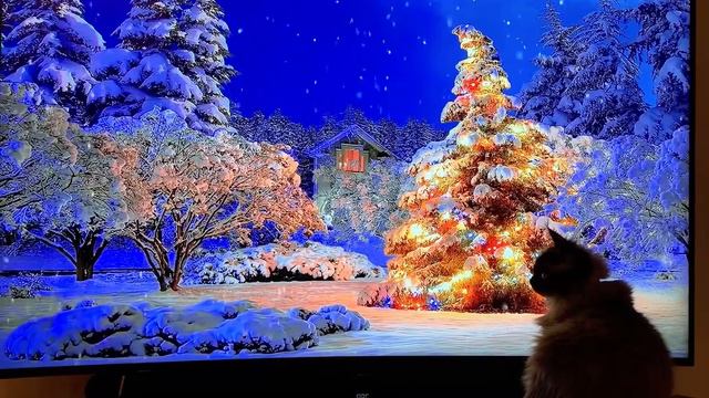 Gibson's Christmas....cats like Christmas, too. смотреть онлайн