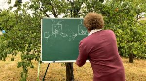 Мне приснилась функция